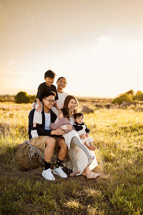 A family of six sits and stands together on a blanket-covered rock in a sunlit field, smiling and hugging each other. Perfect for outdoor family photography williamstown beach, with tall grass and a golden sky at sunset.