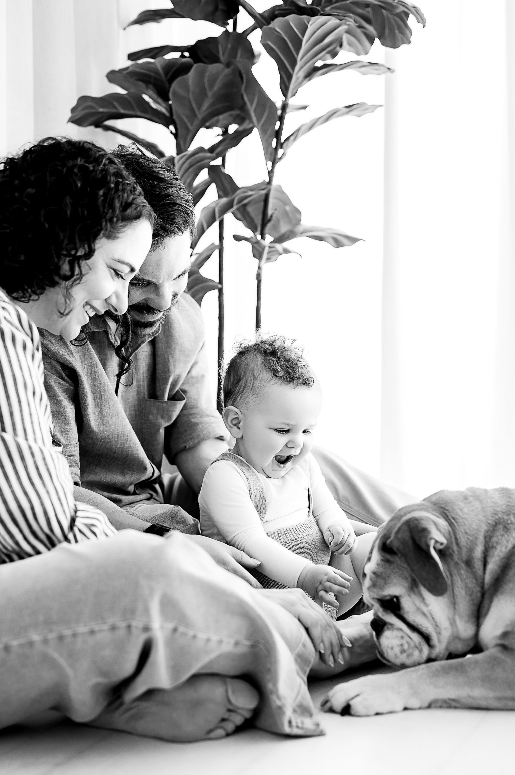 A happy family sits on the floor, smiling and playing with a baby and a bulldog. Sunlight streams through the window, as their Family and Newborn Photographer Melbourne West captures this joyful moment.